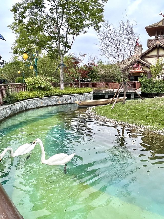 成都！真的不缺好玩的樂園！