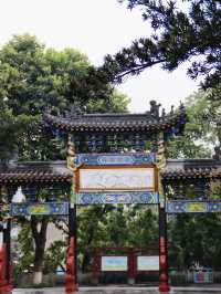 綿陽-這麼好看的公園你不宣傳，你糊塗啊！