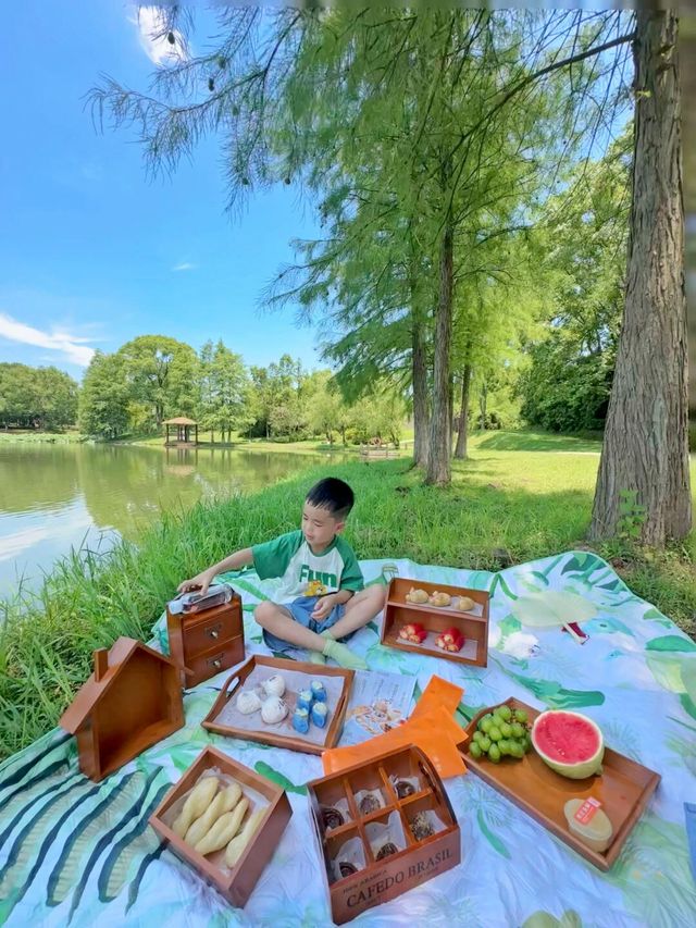 後悔才來長沙被嚴重低估的小眾吸氧公園