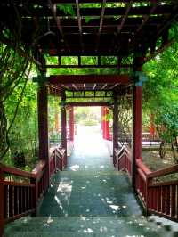 北坞公園