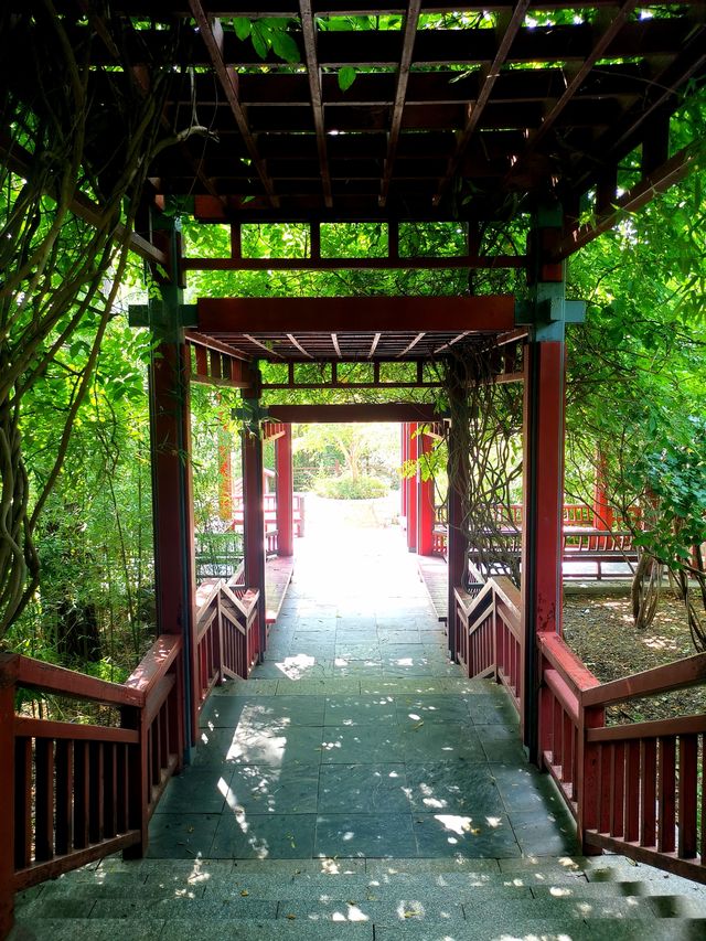 北坞公園