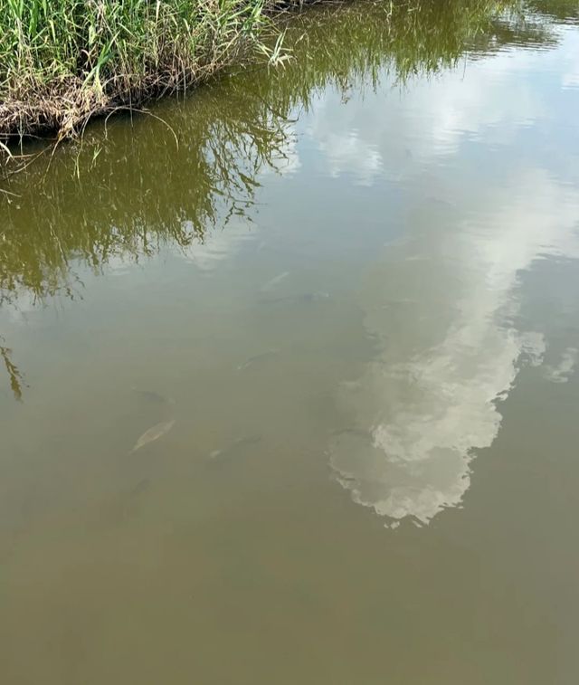 終於打卡了深圳最難約的公園！