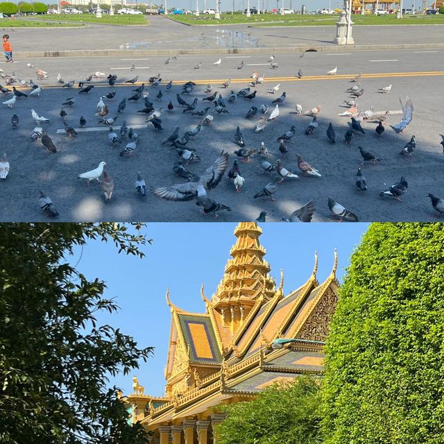 佛國柬埔寨  金邊