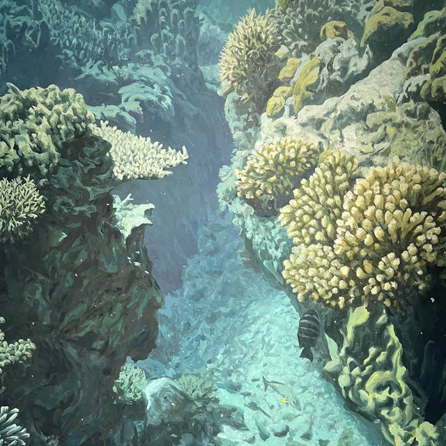 海之蒼穹