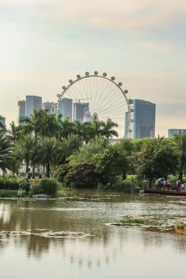 深圳日落海邊公園，浪漫無敵！🌅