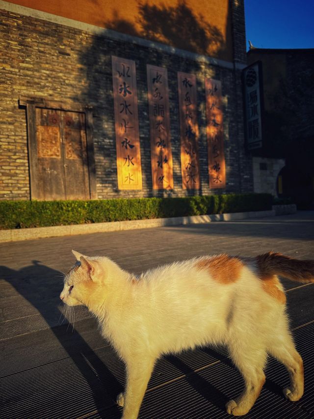 太行水鎮。