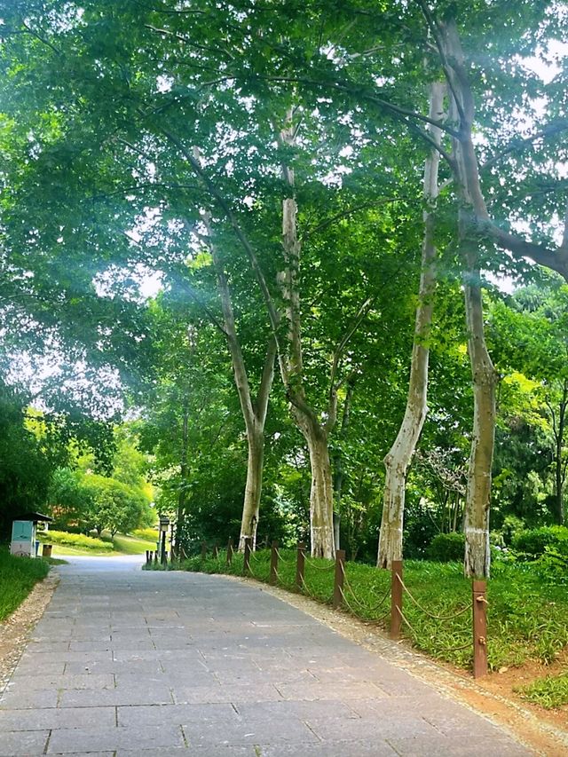襄陽最早的古代私家園林—習家池 襄陽最早的古代私家園林—習家池