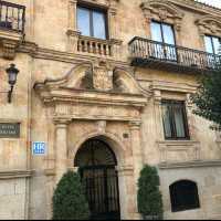 Experience luxury at Hotel Rector 