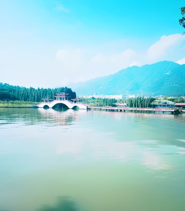 "鼎湖山探祕：古木參天，雲霧縹繞，揭開千年古剎嘅神祕面紗！"。