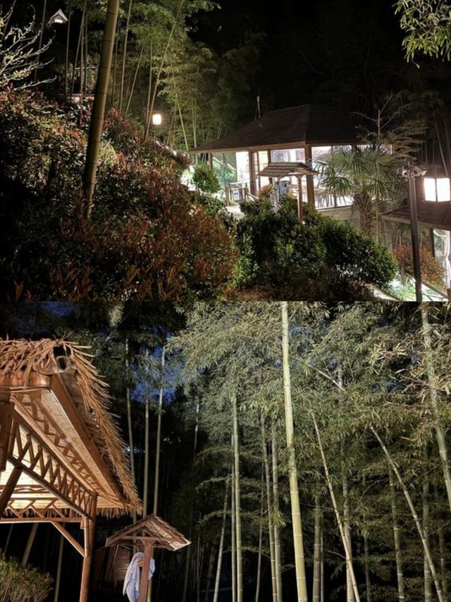 在安吉!睡進270°躺看茶山的野奢帳篷酒店。