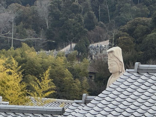 京都·清水青龍酒店秘境探索之旅。