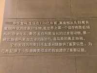 遼寧朝陽鳥化石國家地址公園｜聆聽沉默億萬年的遠古巨響。