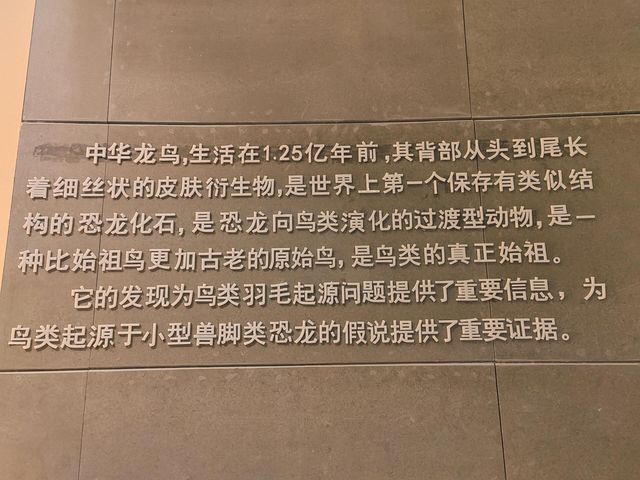 遼寧朝陽鳥化石國家地址公園｜聆聽沉默億萬年的遠古巨響。