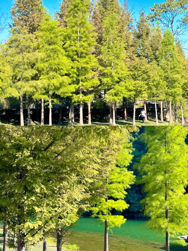 黔東南隱秘寶藏烏羊麻桃花島，靜享世外桃源風光。