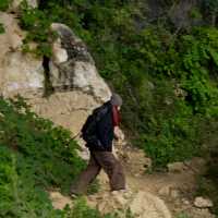 Go to see nature and recharge yourself
