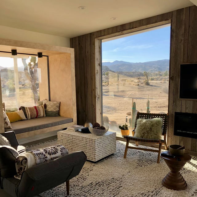 Joshua tree from a room view a beautiful look.