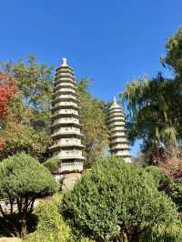 花卉世界，四季繽紛——沈陽世博園的夢幻之旅