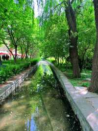 《洛陽隋唐植物園，一步一景皆詩意》。
