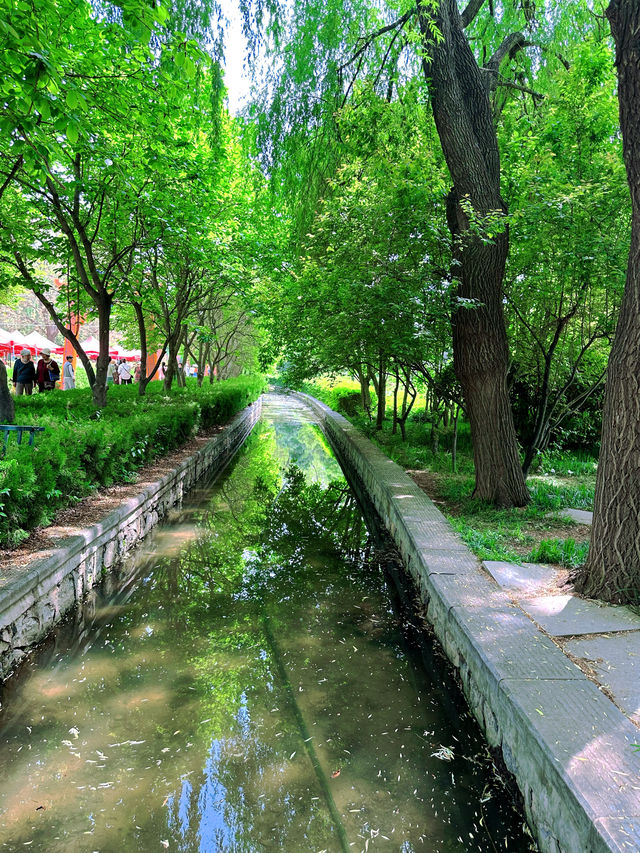 《洛陽隋唐植物園，一步一景皆詩意》。
