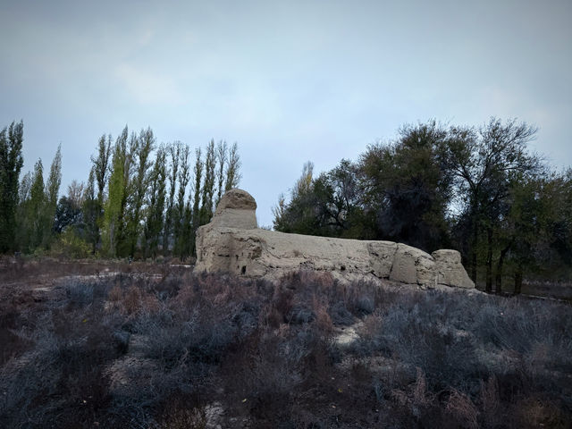 北庭西大寺遺址｜北庭高昌回鶻佛寺遺址。