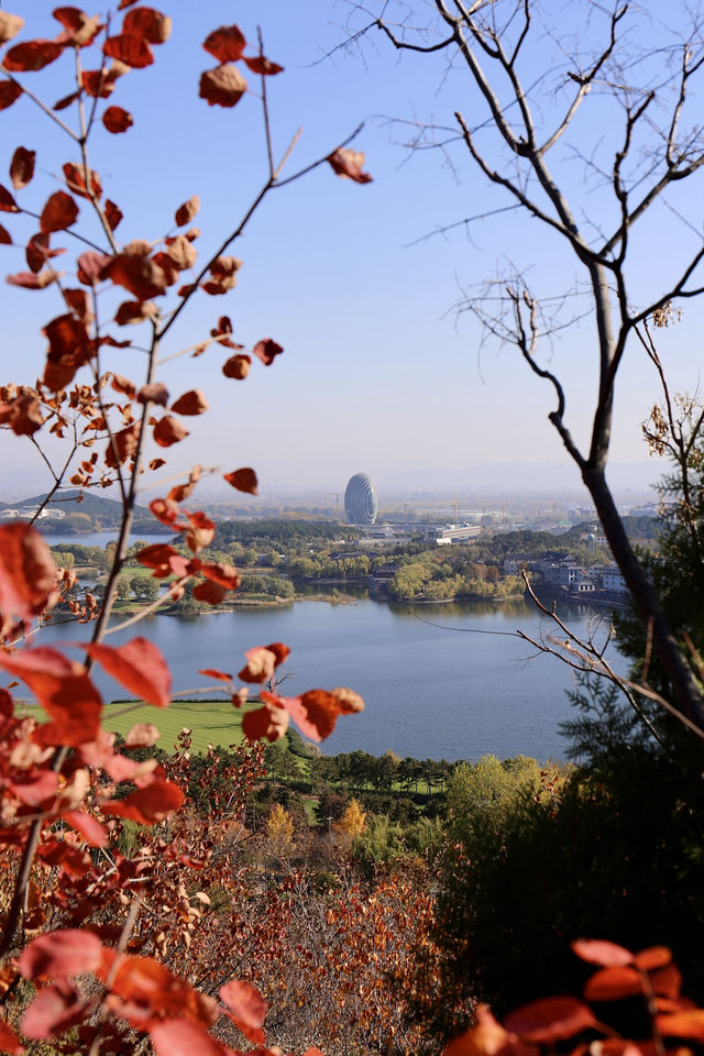 登高，望遠，感受北京這美好秋景。