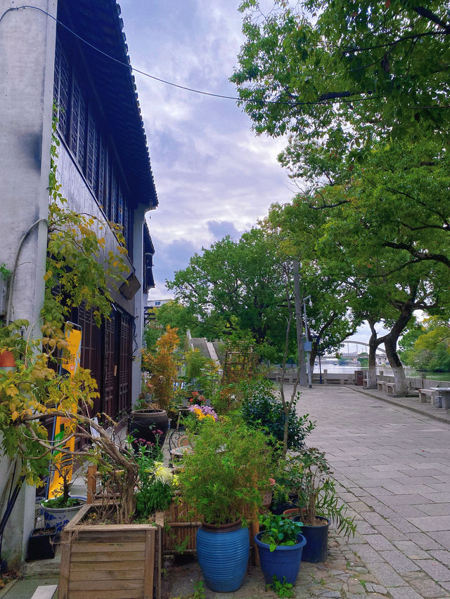 水墨江南｜不負美景，巴城飲茶。