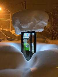 Winter in Hokkaido truly fulfills all your snowy dreams
