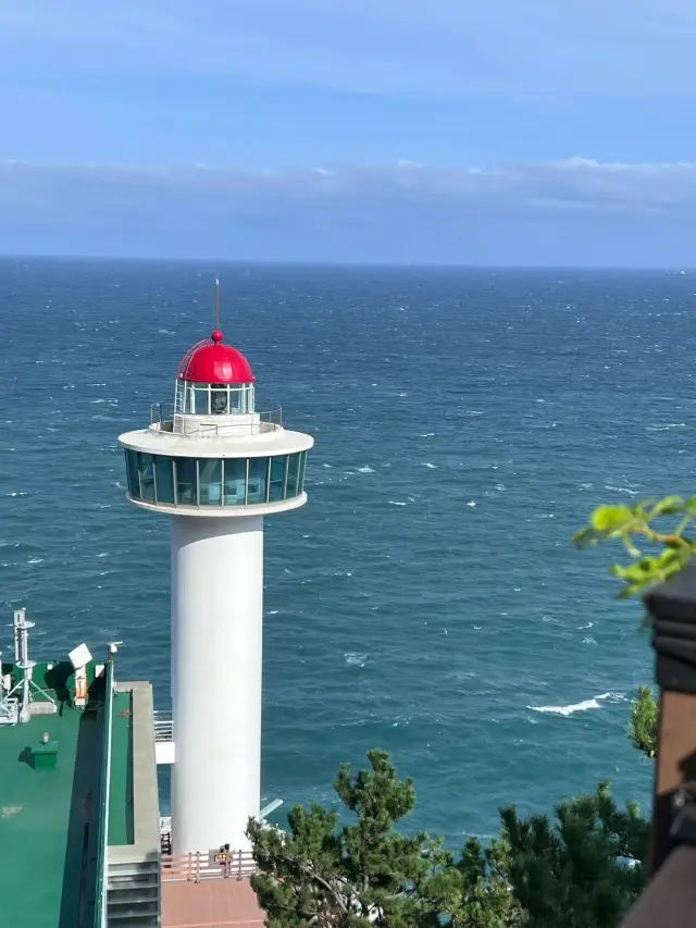 釜山を1日で楽しむシティツアー！