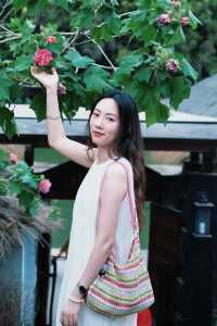 廣州100個周邊好去處四海馬術免費攻略。