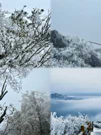 清遠金子山旅遊避雷攻略。