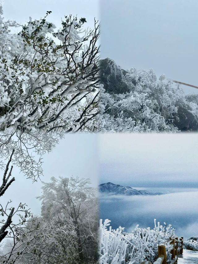 清遠金子山旅遊避雷攻略。