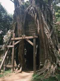 Discovering the Magic of Angkor Wat with a Seven-Day Pass
