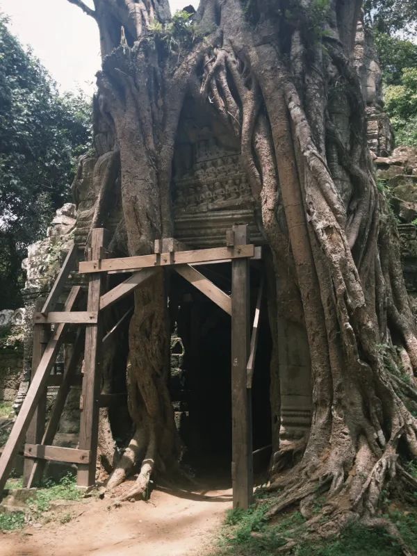 Discovering the Magic of Angkor Wat with a Seven-Day Pass