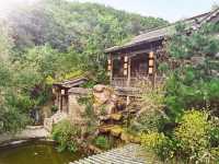 【夢回古韻·時光織錦】鞍山老院子：步履輕盈，繪一軸人間煙火