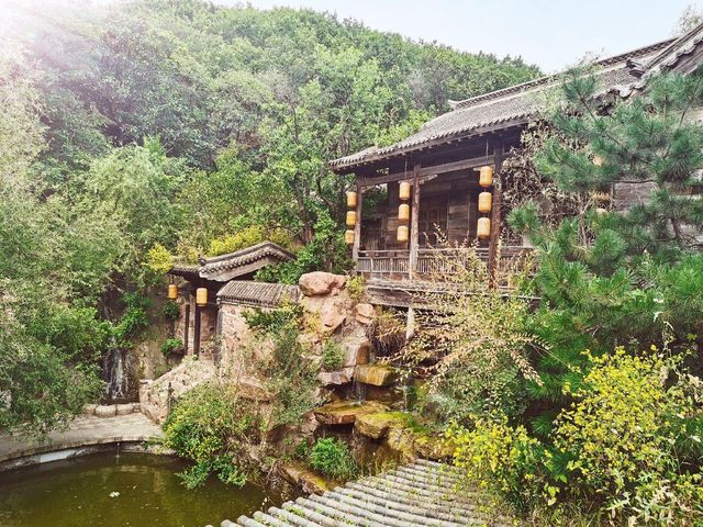 【夢回古韻·時光織錦】鞍山老院子：步履輕盈，繪一軸人間煙火