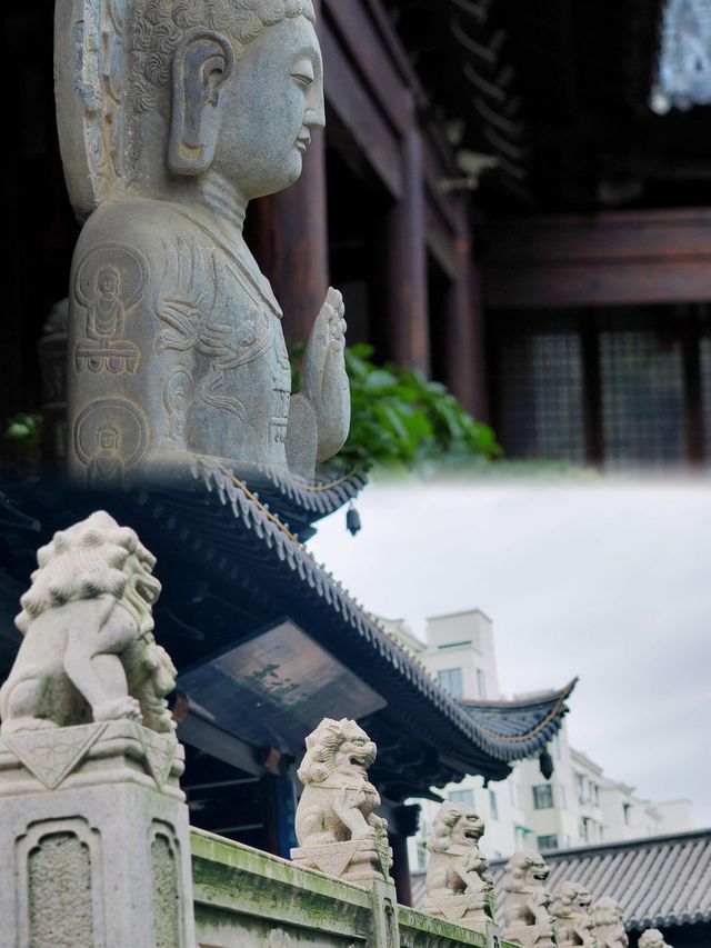 真如寺｜十元打卡魔都隱藏的靜謐之美，銀杏與鐘聲絕配！