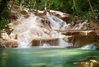 Montego Bay: Dunn's River Falls