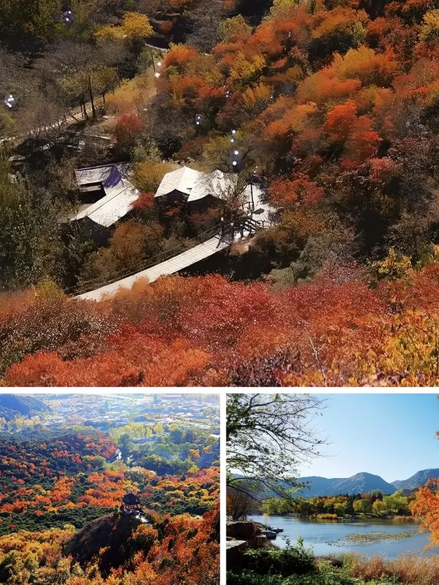 穿越古今，邂逅京郊桃源