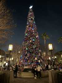 California Disneyland Christmas Limited Edition Guide