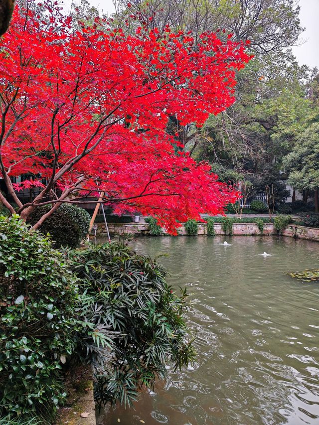 岳王廟