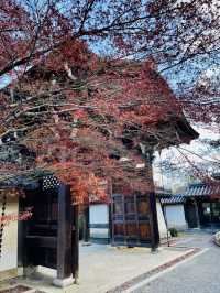 日本·京都嵐山二尊院
