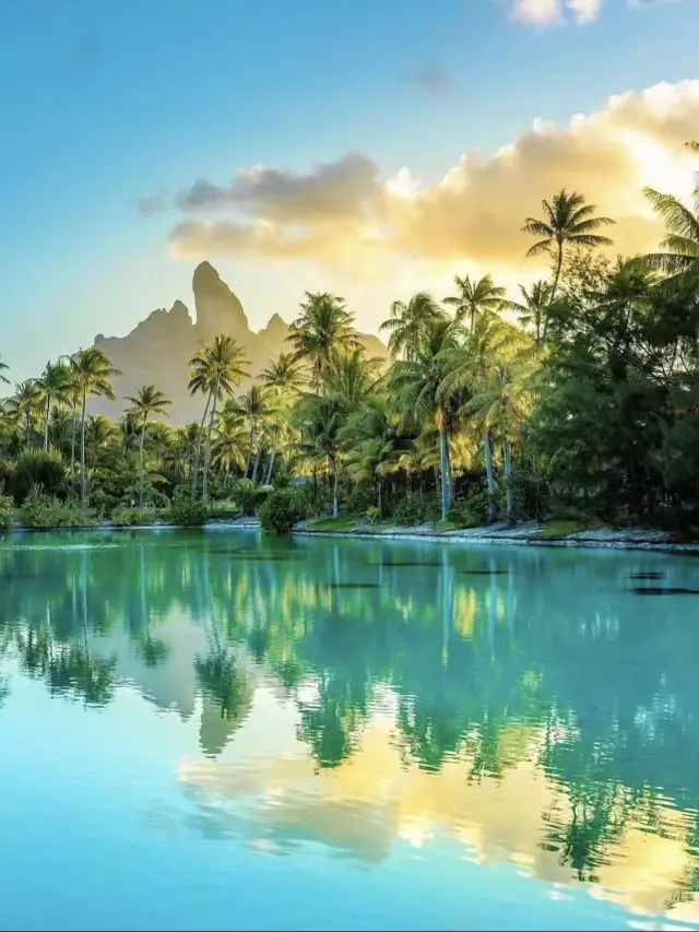 Don't just visit the Maldives, I miss you in Bora Bora