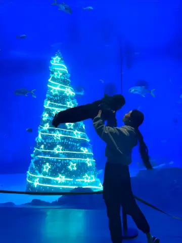 低幼友好藏在海底的這裡可真的美哭了！！