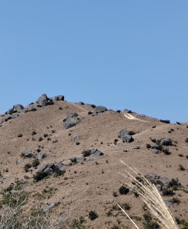 陽春爛頭嶺：在山野間邂逅自由與堅韌