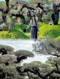 真不是Ai ！！佛山拍到奇幻森林