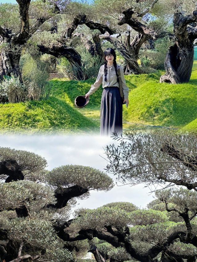 真不是Ai ！！佛山拍到奇幻森林