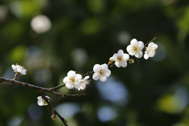 石門國家森林公園