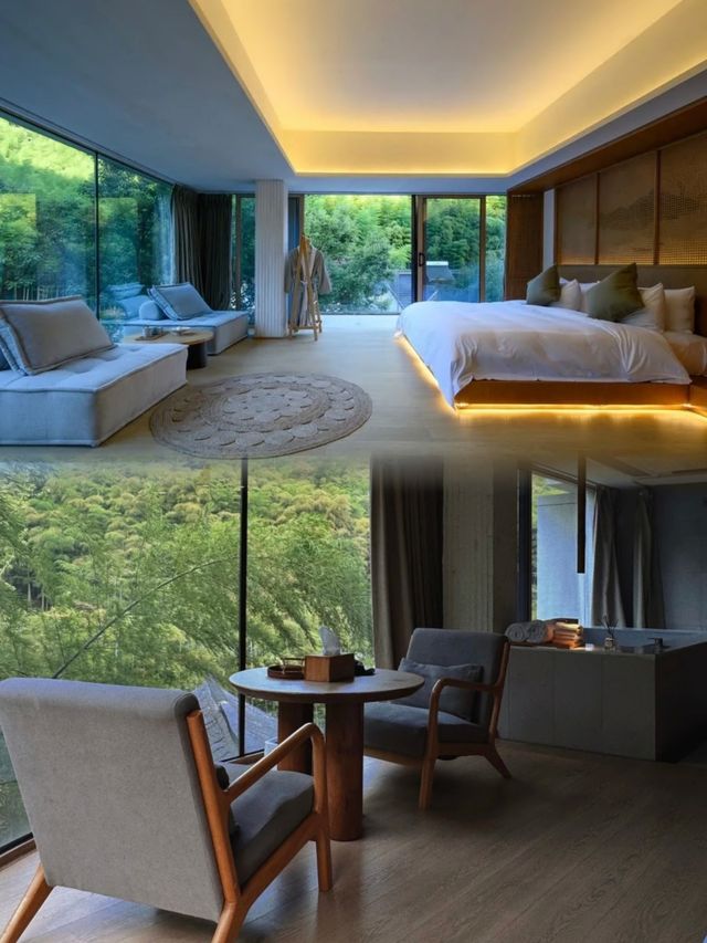 為了這個窗景，我住進了莫干山的山林竹海