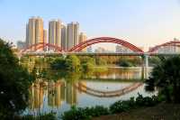 在洪湖公園，與白鷺不期而遇