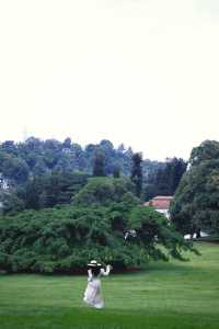 Discover the Enchanting Royal Botanical Gardens in Kandy, Sri Lanka